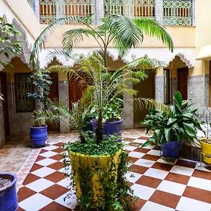 Faouzi Otel